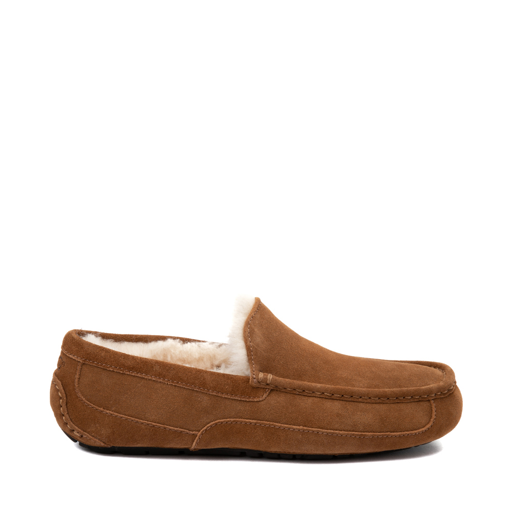 Mens ugg ascot slippers hot sale chestnut