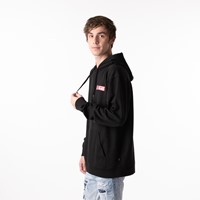 vans future standard pullover hoodie