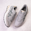 Piedmont Gray/Stone Gray