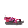 Sweeping Fuchsia