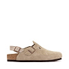 Taupe