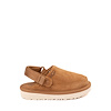Chestnut