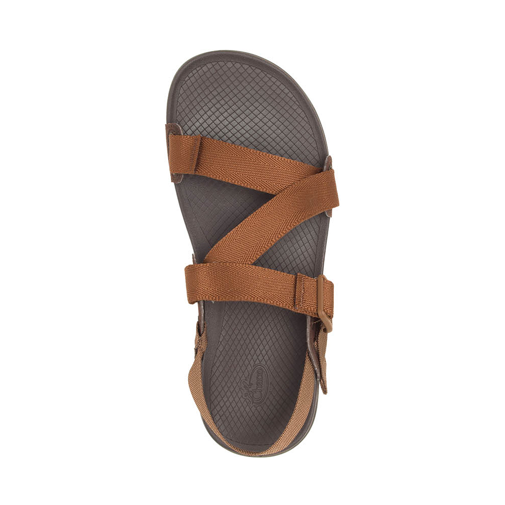 Mens Chaco Lowdown Sandal Monks Robe Journeys