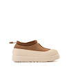 Chestnut/Whitecap