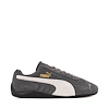 Dusky Gray